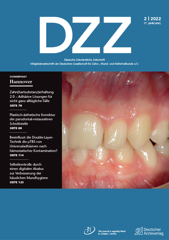 DZZ Ausgabe 2/2022