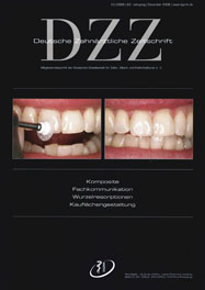 DZZ Ausgabe 12/2008