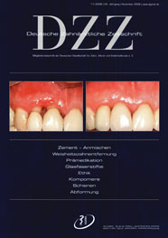 DZZ Ausgabe 11/2008